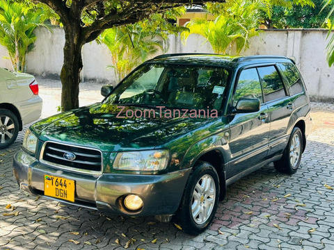 Forester.     2005 - 3/3