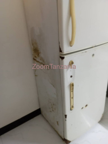 fridge - 5/5