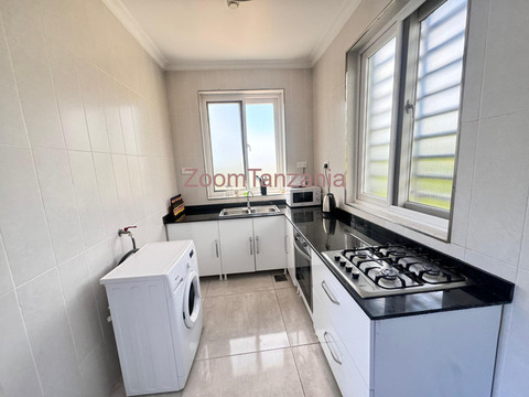 Furnished luxury apartment to rent at ilemela - 2/6