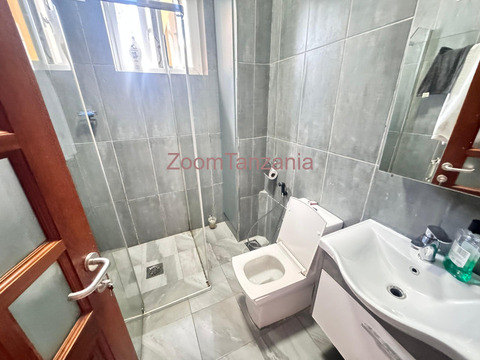Furnished luxury apartment to rent at ilemela - 4/6