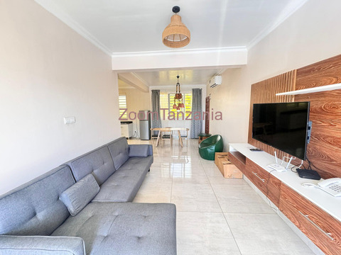 Furnished luxury apartment to rent at ilemela - 5/6