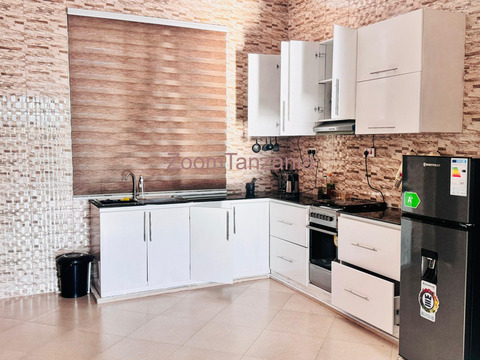 Full Furnished House For Rent Nyamhongolo - 4/6