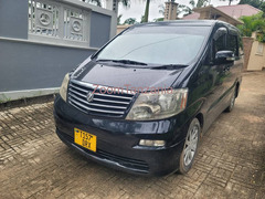 Alphard.     2006