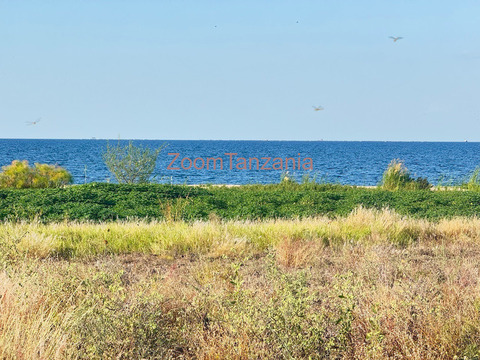 Beach plot inauzwa nyanguge pembeni ya bugando beach - 2/6