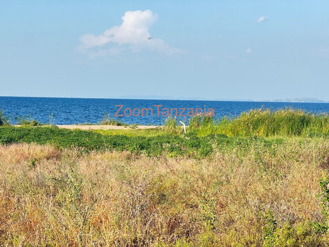 Beach plot inauzwa nyanguge pembeni ya bugando beach - 3/6