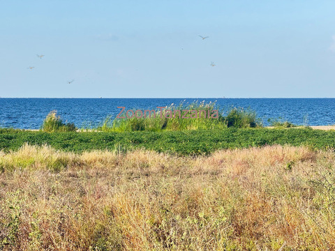 Beach plot inauzwa nyanguge pembeni ya bugando beach - 4/6