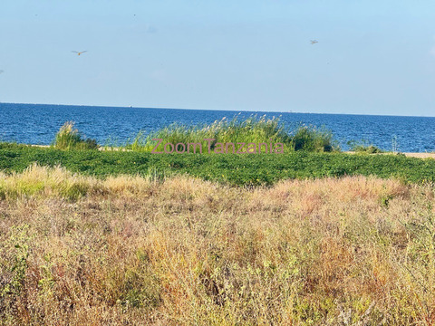 Beach plot inauzwa nyanguge pembeni ya bugando beach - 5/6