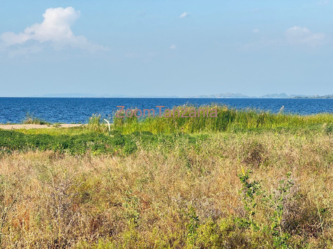 Beach plot inauzwa nyanguge pembeni ya bugando beach - 6/6