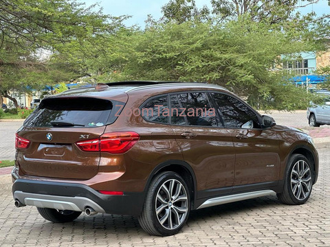 Bmw X1.      2018 - 4/6