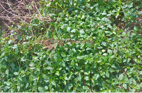Plot of Land for Sale at Mbezi Mwisho Luguruni