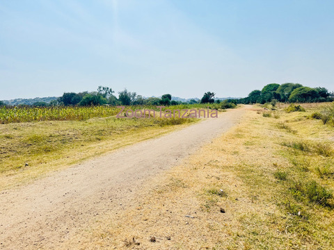 Shamba linauzwa magu - masanza kona - 3/6