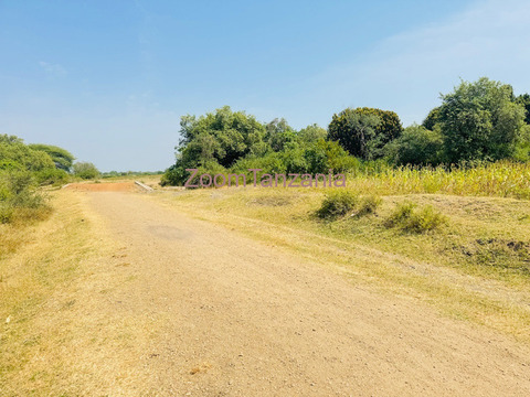 Shamba linauzwa magu - masanza kona - 4/6
