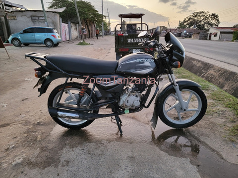 Boxer BM 2024 - 1/3