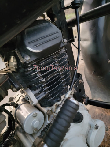 Boxer BM 2024 - 2/3