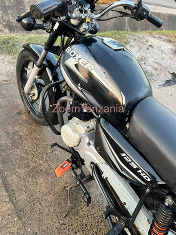 Boxer BM 2024 - 3/3