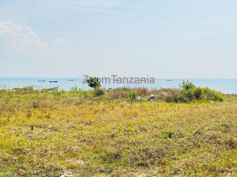 Beach plot ( imeanzia ziwani ) inauzwa nyanguge mwanza - 1/5