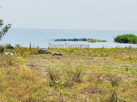 Beach plot ( imeanzia ziwani ) inauzwa nyanguge mwanza - 2/5
