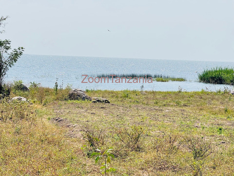 Beach plot ( imeanzia ziwani ) inauzwa nyanguge mwanza - 3/5