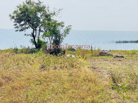 Beach plot ( imeanzia ziwani ) inauzwa nyanguge mwanza - 4/5