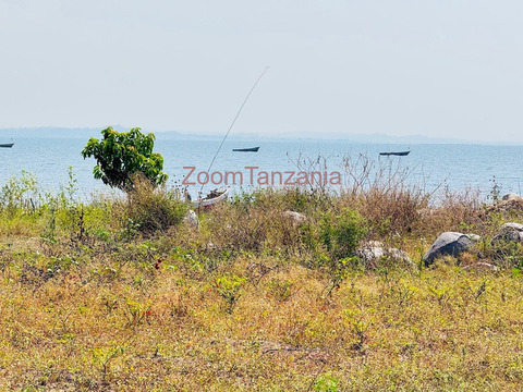 Beach plot ( imeanzia ziwani ) inauzwa nyanguge mwanza - 5/5