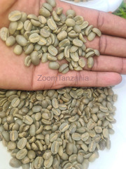 Green Coffee beans (Arabica Coffee) Grade: AA, A, and AB+27719755564