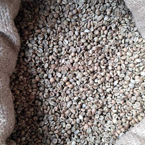Green Coffee beans (Arabica Coffee) Grade: AA, A, and AB+27719755564 - 2/3