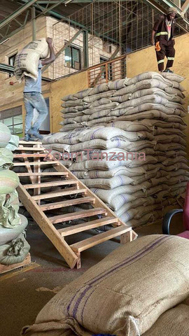 top-quality Ugandan robusta and Arabica coffee beans? Contact +27719755564 - 2/3
