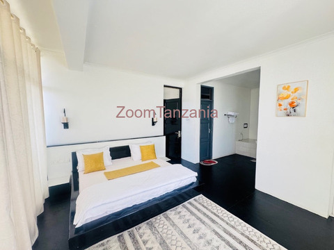 Two masterbedroom Private apartment to rent mwanza - 3/6