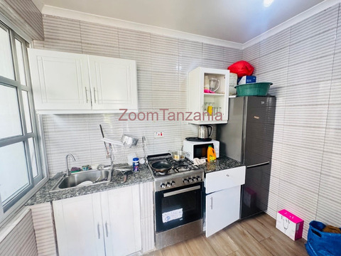 Two masterbedroom Private apartment to rent mwanza - 5/6