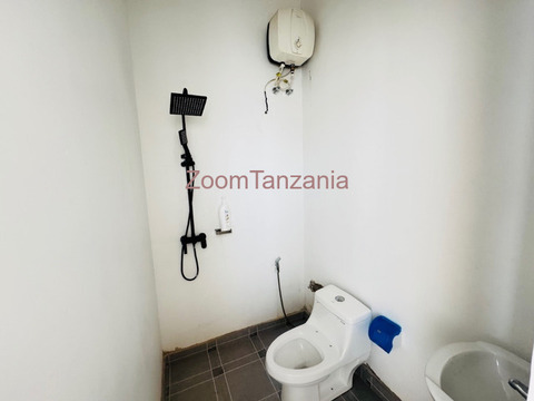 Two masterbedroom Private apartment to rent mwanza - 6/6