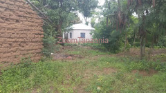 Nyumba na kiwanja