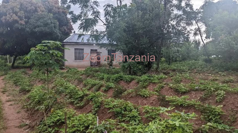 Nyumba na kiwanja - 2/6