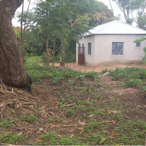 Nyumba na kiwanja - 3/6