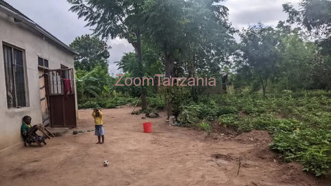 Nyumba na kiwanja - 4/6