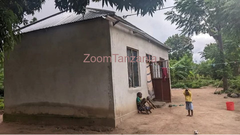 Nyumba na kiwanja - 5/6