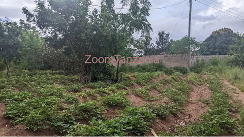 Nyumba na kiwanja - 6/6