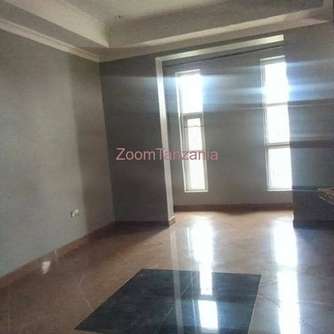 4BEDROOM HOUSE FOR RENT IN NJIRO-ARUSHA-TANZANIA - 2/6