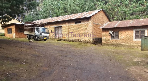 Shamba la chai la ukubwa wa heka 120 linauzwa mufindi - 6/6