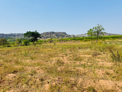 Shamba la heka moja linauzwa kigongo fery ( daraja la JPM ) - 1/6