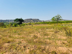 Shamba la heka moja linauzwa kigongo fery ( daraja la JPM )