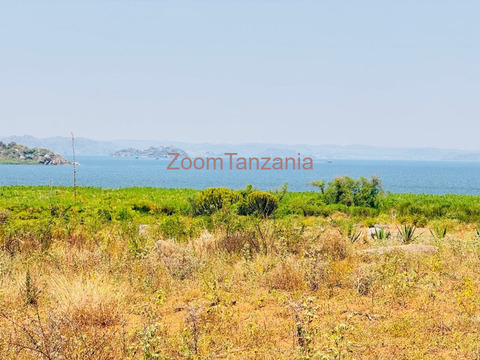 Shamba la heka moja linauzwa kigongo fery ( daraja la JPM ) - 3/6