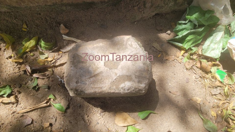 By Owner | Prime 600sqm Plot – Just 86m From Bagamoyo Road - 2/6