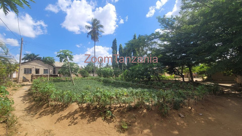 By Owner | Prime 600sqm Plot – Just 86m From Bagamoyo Road - 5/6