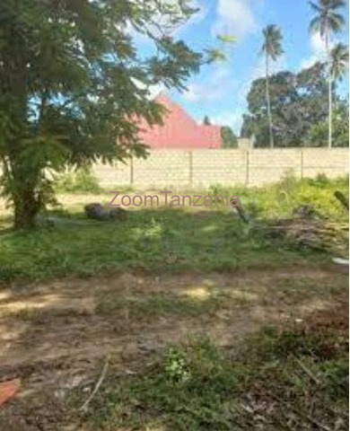 Plots for sale in Nyasaka - 3/3