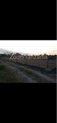 Property Jambiani 2025