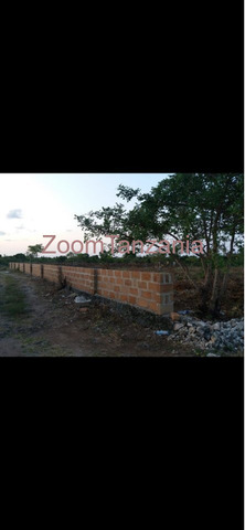 Property Jambiani 2025 - 2/3