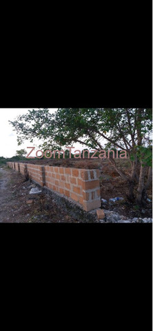 Property Jambiani 2025 - 3/3