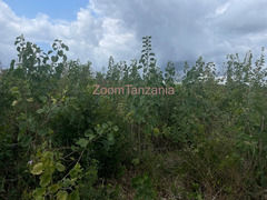 Shamba linauzwa Kiwangwa Bagamoyo