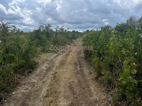 Shamba linauzwa Kiwangwa Bagamoyo - 2/4