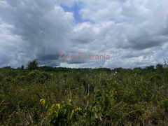 Shamba linauzwa